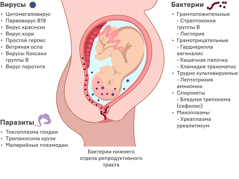 Изменения в организме женщины при беременности: неделя за неделей