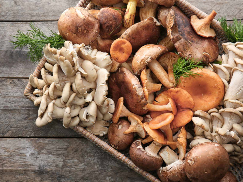 Можно ли есть грибы при грудном вскармливании?