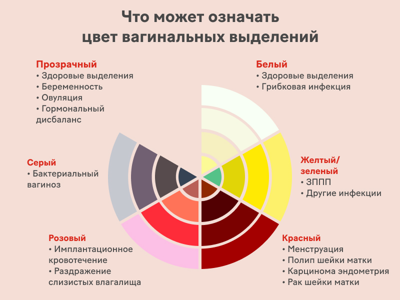 Причины выделений на ранних сроках беременности